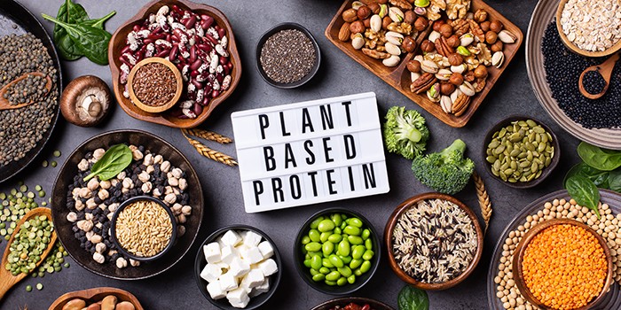 13 of the Best Vegetarian and Vegan Protein Sources