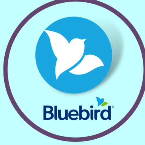 Cvv-dumps-Bank-drops-24.png Buy Bluebird bank 2 year aged Account + VCC