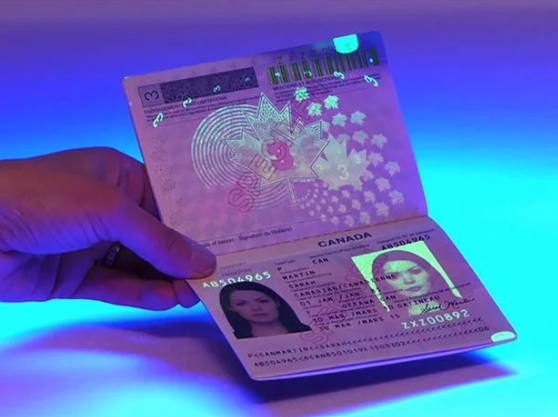 buy-passport-online.png Buy Passport Online – Regular Passport – Buy Official Passport – Buy Service Passport – Buy Emergency Passport